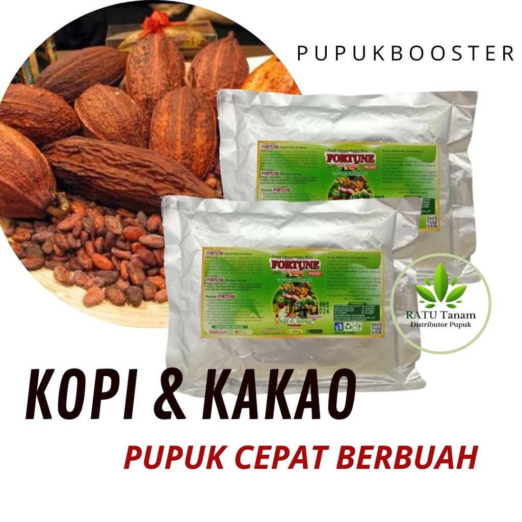 Pupuk Booster Kakao Kopi Buah Kopi Agar Berbuah Lebat, Pupuk Pelebat Buah Kopi