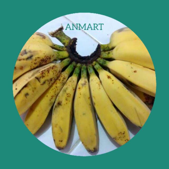 

ANMART | 1 Ssr Pisang Kepok Ukuran Sedang | Buah Segar | Sayur Online