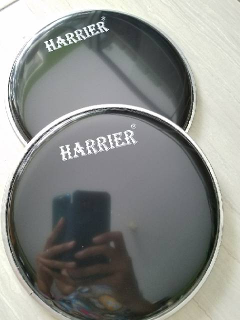 Head harrier black 8&quot;