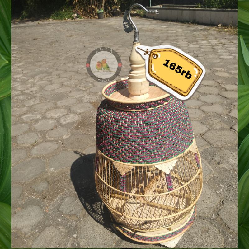 kandang perkutut kutut kayu