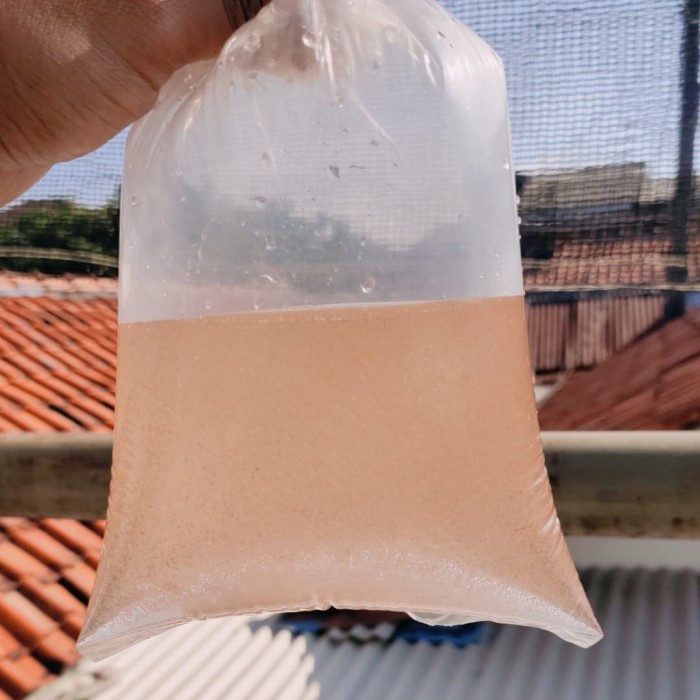 dw201rr Artemia Tetas / Artemia Hidup Rfr201