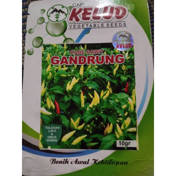 cabe rawit  gandrung