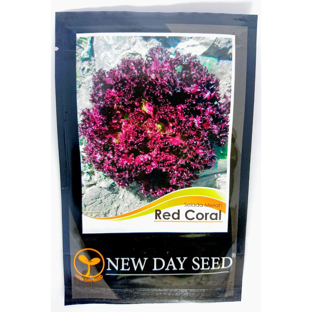benih Selada Merah RED CORAL new day seed 300 btr Terlaris