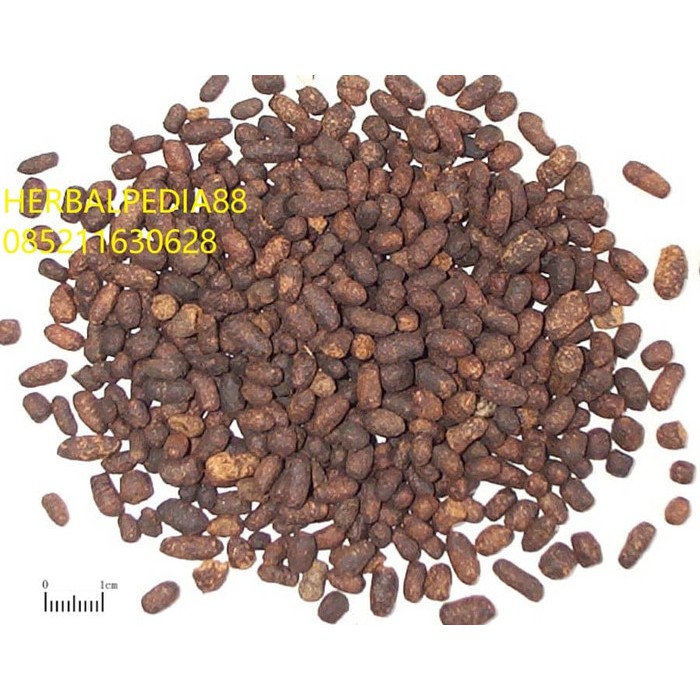 

wu ling zhi 五灵脂 Trogopterori Faeces 200 gram