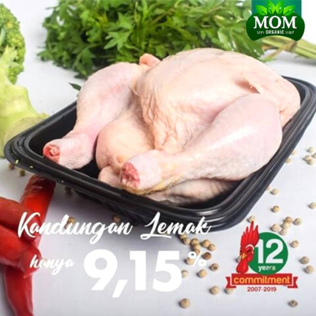 

AYAM PROBIOTIK ORGANIK, AYAM MPASI, AYAM NON ANTIBIOTIK, AYAM NON HORMONAL, AYAM SEHAT TANPA SUNTIK, AYAM NON KONSENTRAT