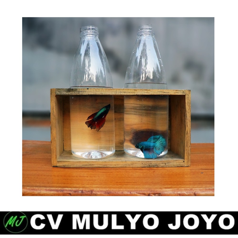 Pot Botol Plastik 02 - Pot Botol Ikan Cupang