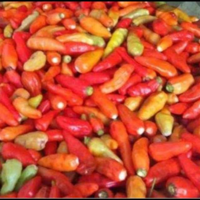 

cabe rawit merah