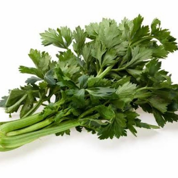 

daun sop seledri pasar online makassar