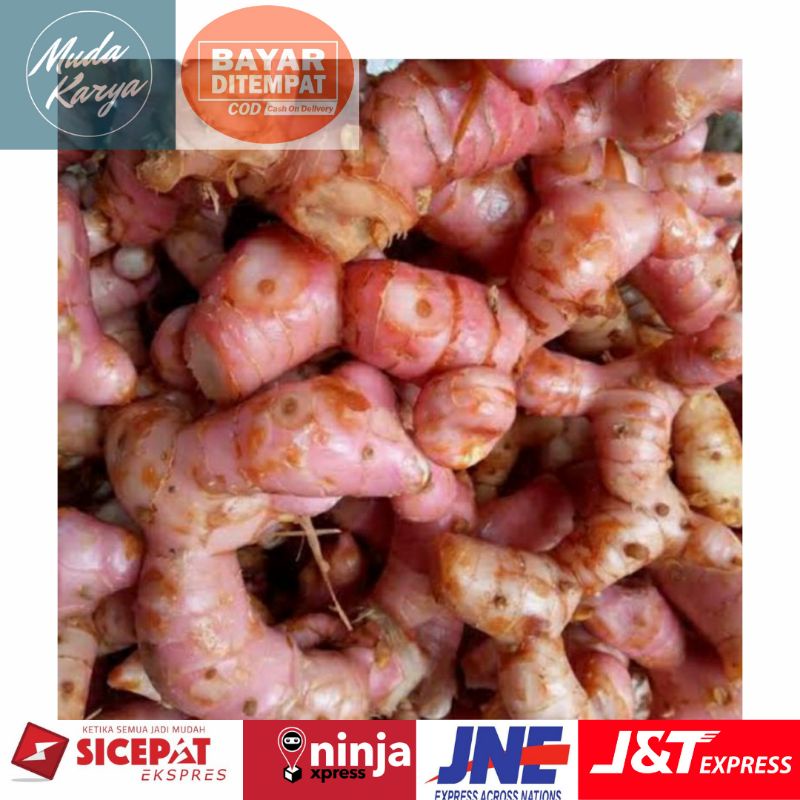 

Lengkuas Merah-Laja Segarr 1kg