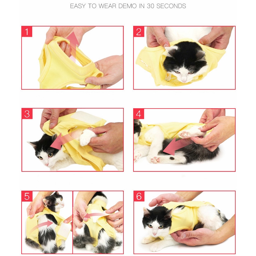 ★〓YUFeiPet〓★ Elizabeth Series Kitty Weaning Sterilization After Surgery of Cat Clothes