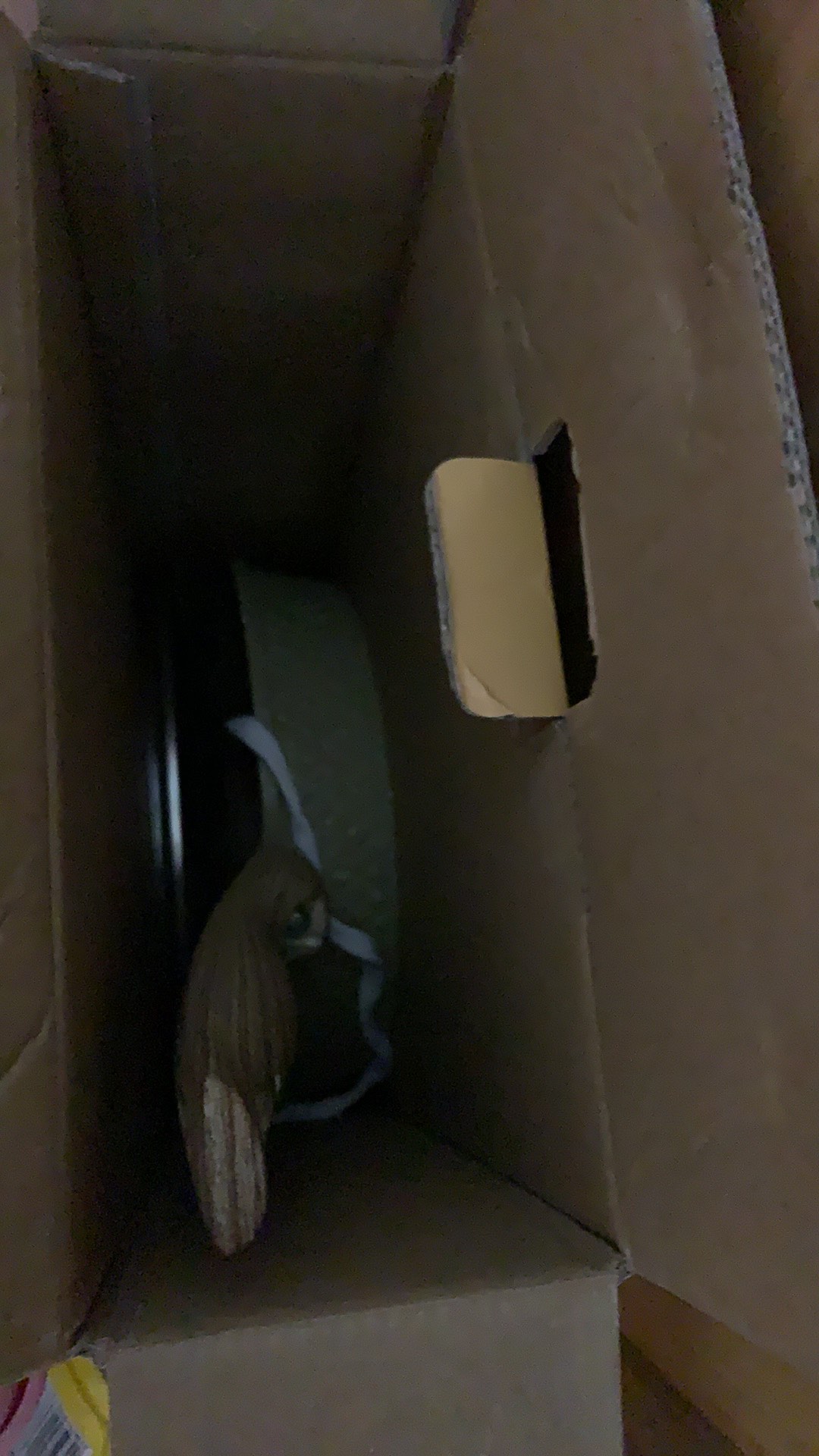 Steincookware Stein Frypan 20cm/24cm Diamond