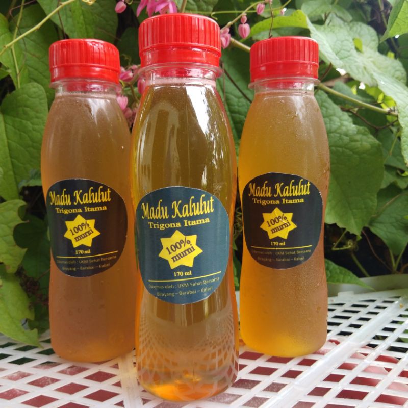 

Madu kelulut / klanceng (170 ml)
