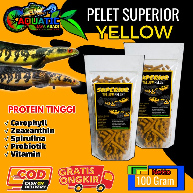 Pelet Superior Pelet Channa maru Yellow 100 Gram