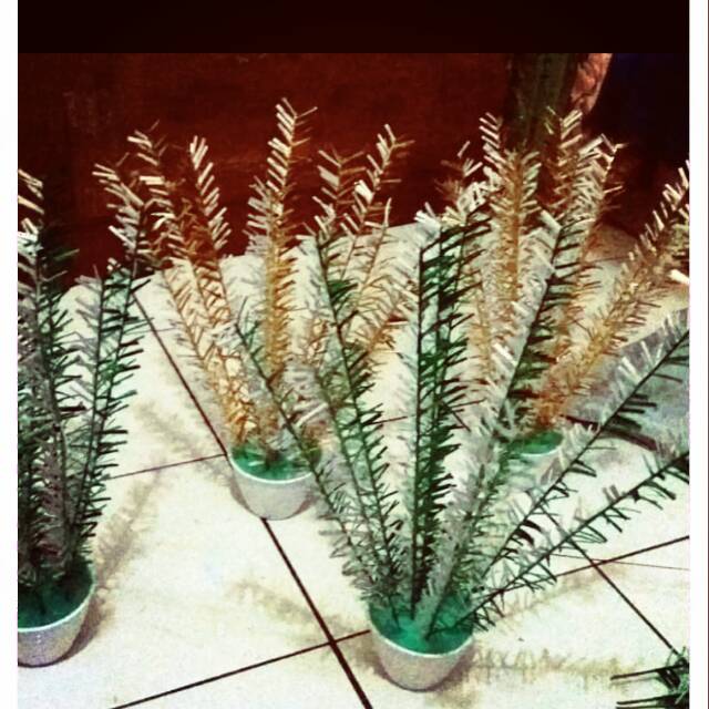 Miniatur pohon akar kelapa