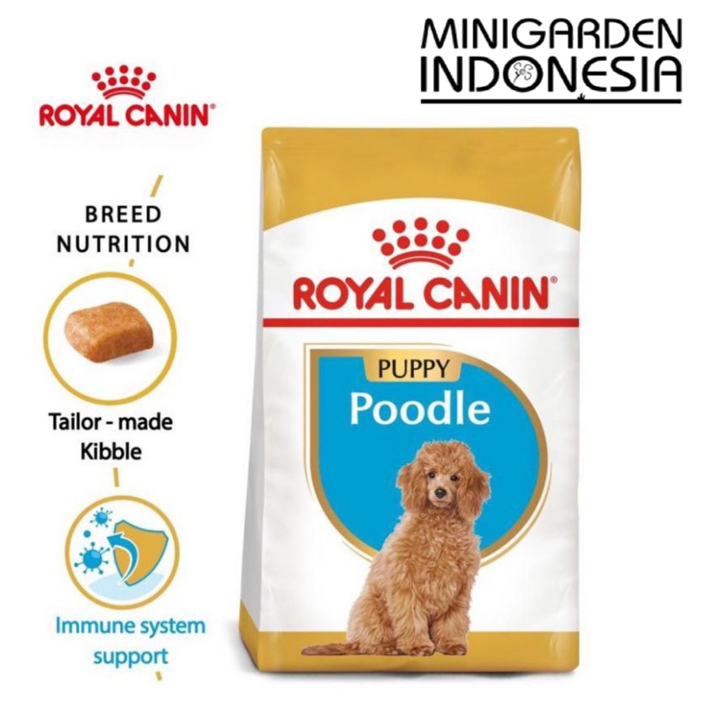 ROYAL CANIN POODLE PUPPY 3 KG poodle junior dogfood dryfood makanan anjing ras pudel 3KG