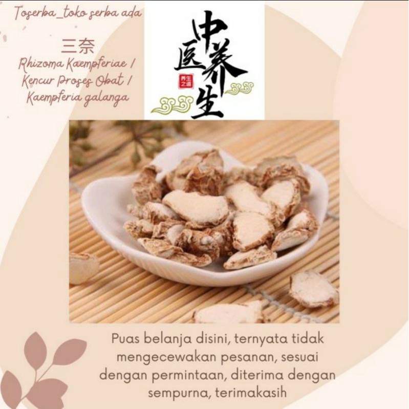 

100gr San Nai 三奈 Rhizoma Kaempferiae Kencur Proses Obat