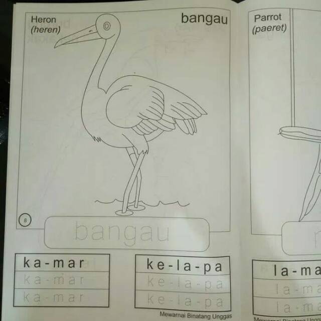 5100 Koleksi Mewarnai Gambar Binatang Unggas Gratis Terbaru