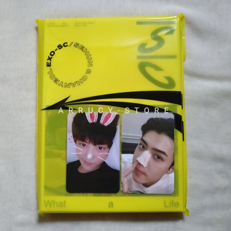 [FULLSET] Album Exo-sc What a Life y ver pc sehun komedo+chanyeol bunny + POSTER