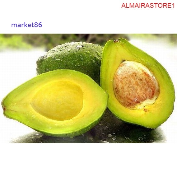

Grosir BUAH SEGAR FRESH Alpukat Mentega 1 KG murah - Fwbogor - Wfbogor.