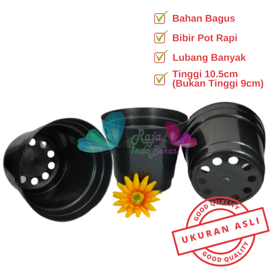 Pot Bunga Plastik 12cm / Kopeng 12 Hitam - Pot Tanaman Plastik 12 Cm Warna Hitam Harga Grosir Hitam