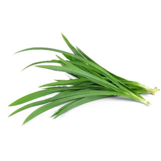 

DAUN PANDAN - Ikat kecil