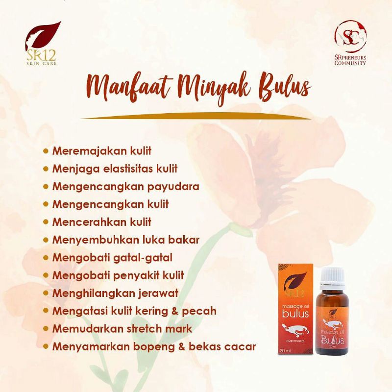 MINYAK BULUS ORIGINAL 20 ML/ MINYAK PIJAT BPOM HEBAL/MINYAK PIJAT SERBAGUNA/PENGHILANG BEKAS LUKA