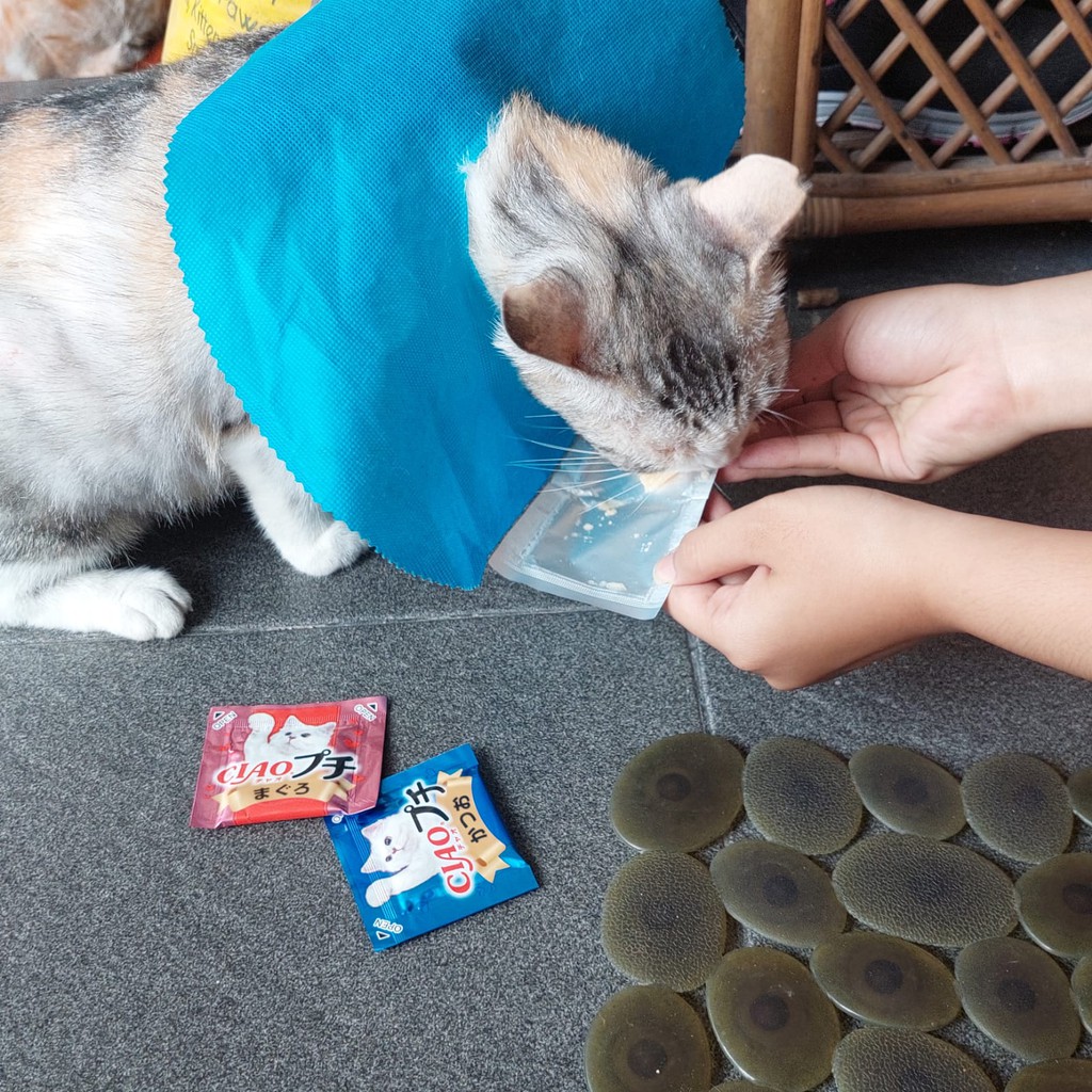 CIAO SNACK KUCING TREAT SLICE