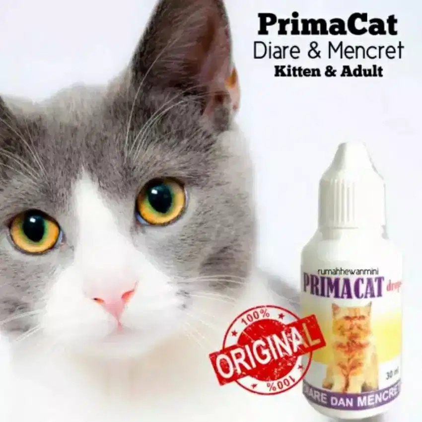 PRIMACAT Obat Diare Mencret Kucing