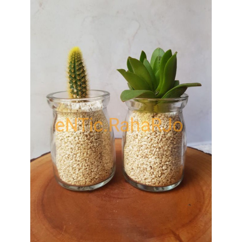 BOTOL PUDING / PUDING JAR 100 ML PENDEK DAN TUTUP / JAR SELAI / SUSU / YOGURT / DESSERT