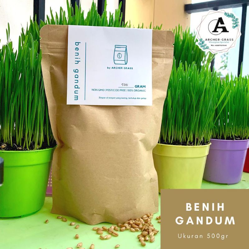 Benih Gandum / WheatGrass / Cat Grass / Pet Grass 500gr.