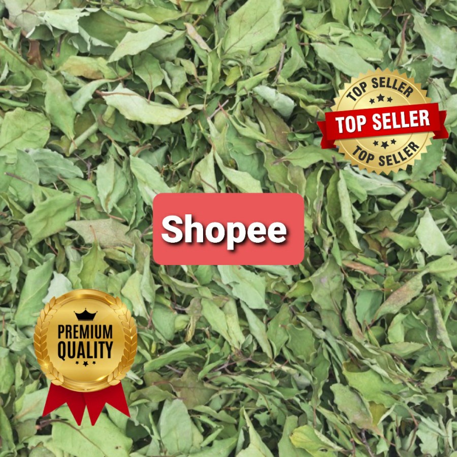 

DAUN BENALU JATI KERING HIJAU 500 GRAM (PREMIUM QUALITY TOPP HERBAL JATIM) A116