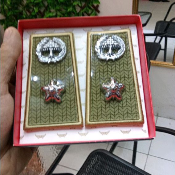 pangkat lurah eksklusif pangkat KADES