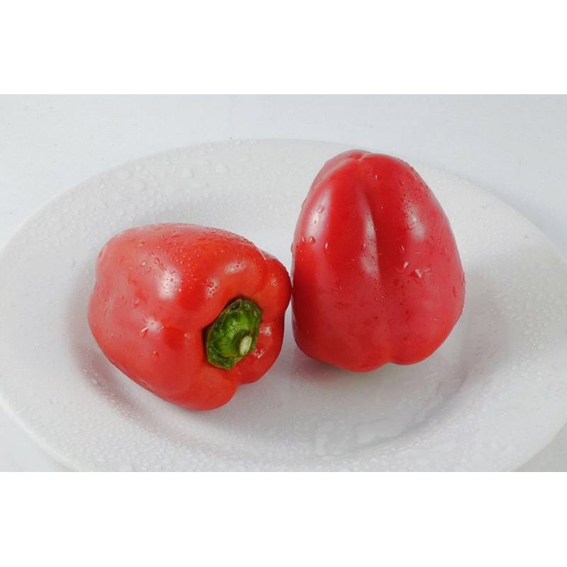 Paprika Merah / Per buah