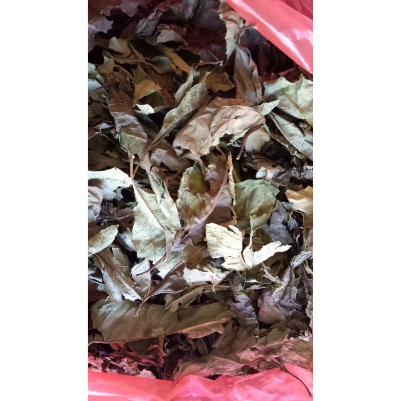 

teh daun insulin kering kemasan 250gr