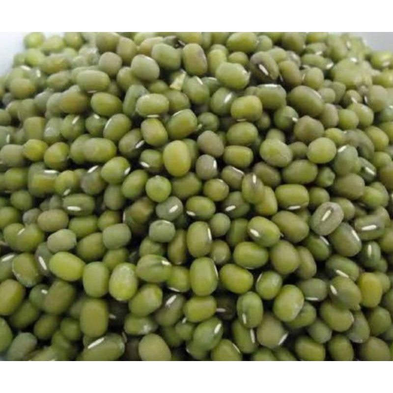 

Kacang Hijau Fresh Kiloan Pasar segar depok