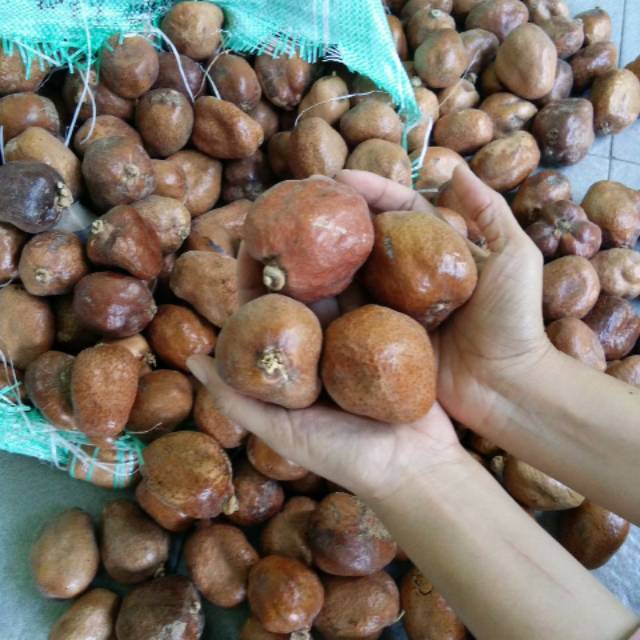 BUAH ZURIAT PROMIL BELAH/UTUH 500gr dan 250gr