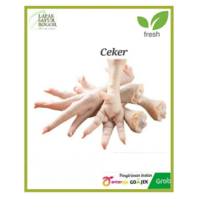 

ceker ayam segar
