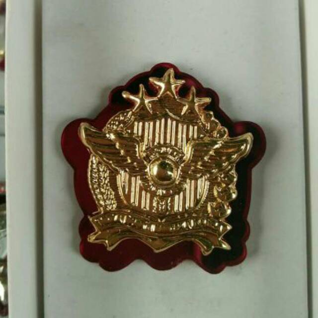 Pin lantas kejuruhan