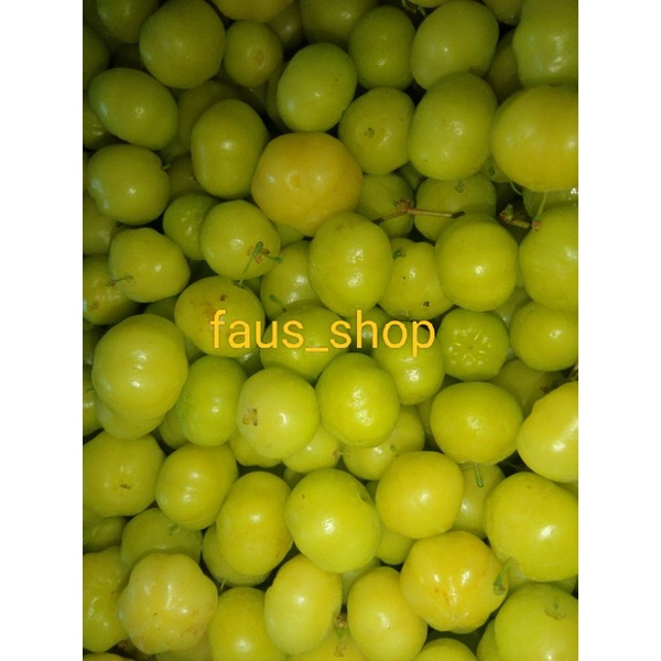 

buah ceremai segar, fresh