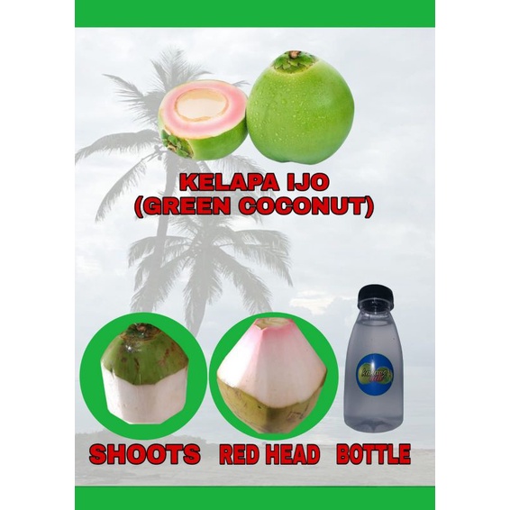 air kelapa ijo 500 ml