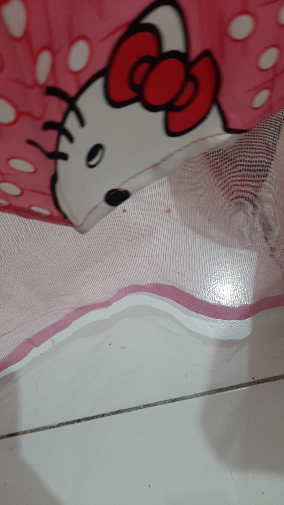 Paku Payung Kecil ( 1 Pack )