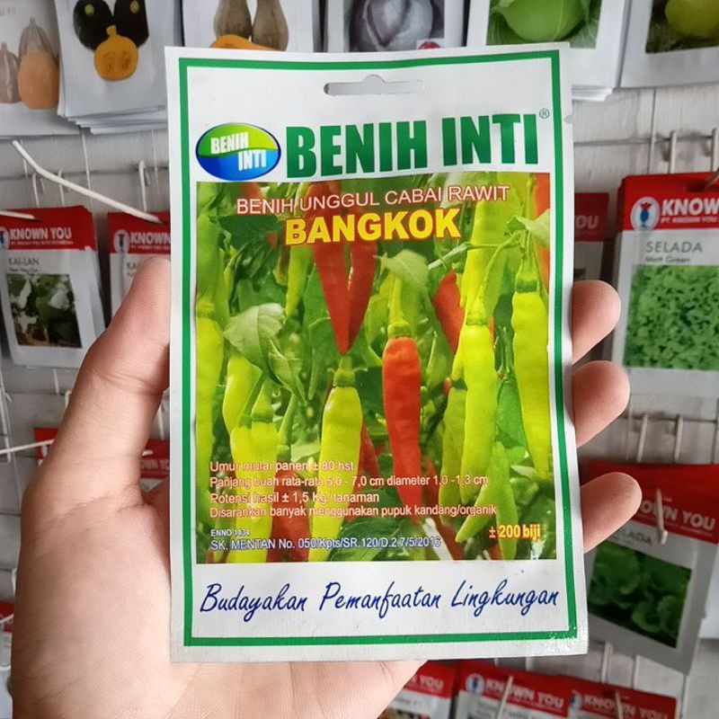Benih Cabe Rawit Putih Bangkok Isi 200bj