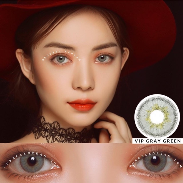 Vip brown &amp; gray green softlens korea