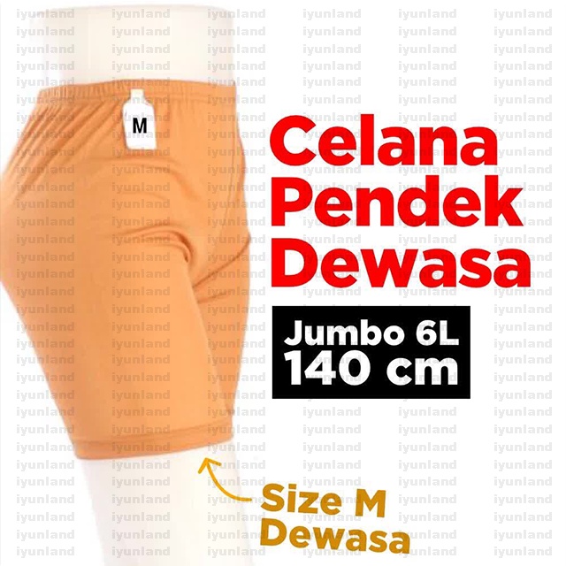 Celana Pendek wanita strit