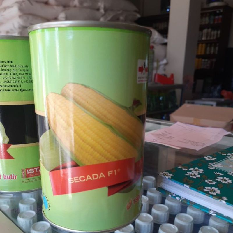 Benih jagung scada kemasan kantong