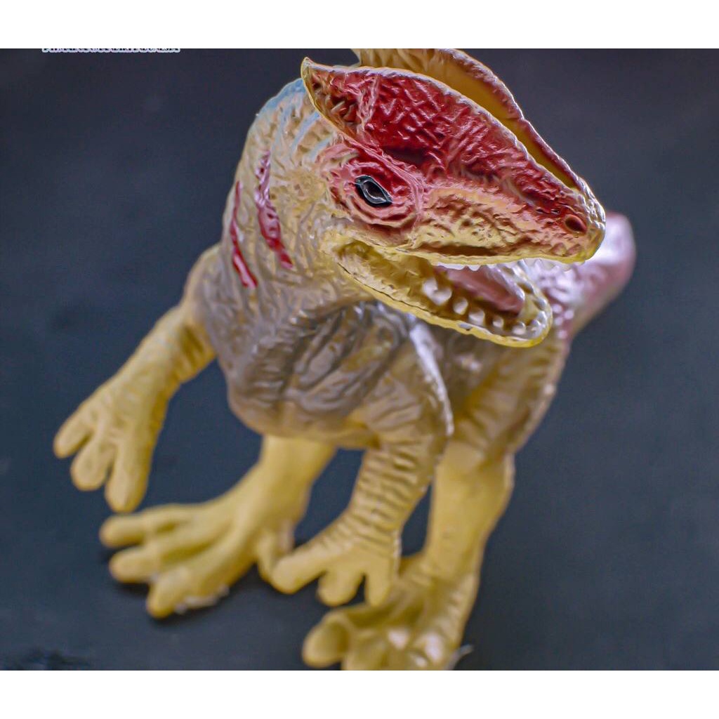 New Canna Mainan Edukasi Dinosaurus - Allosaurus X3064