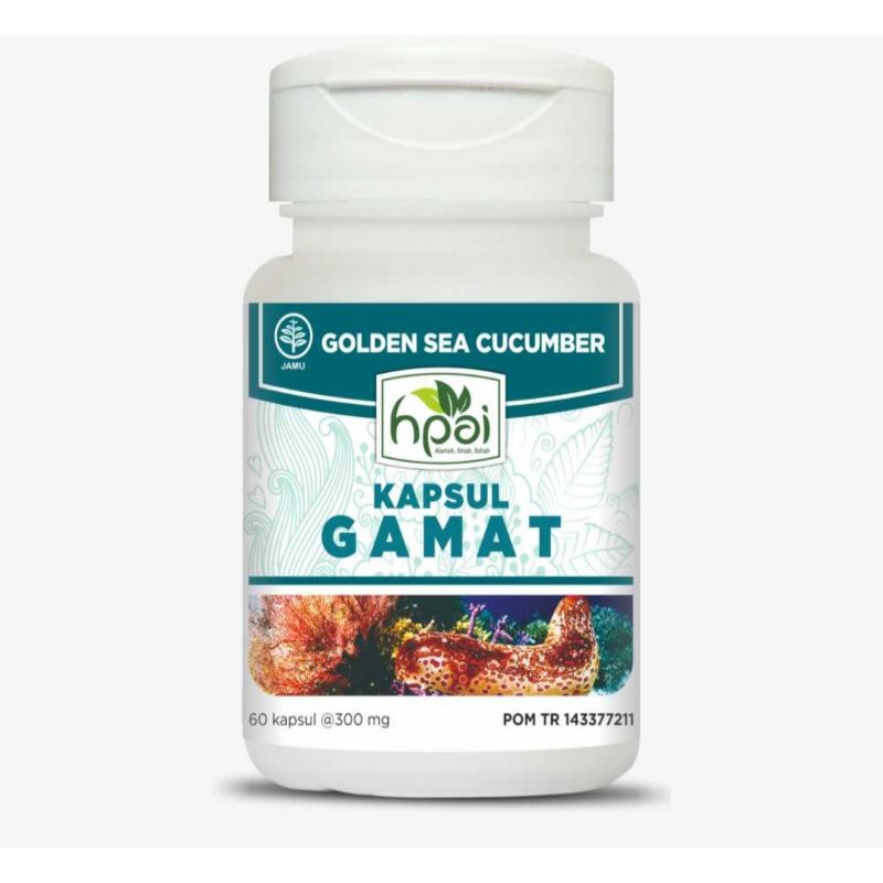 Obat Herbal HPAI Golden Sea Cucumber Kapsul Gamat