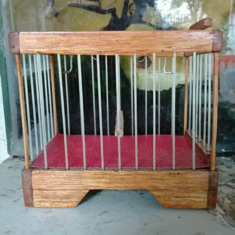 KANDANG Untulan konin