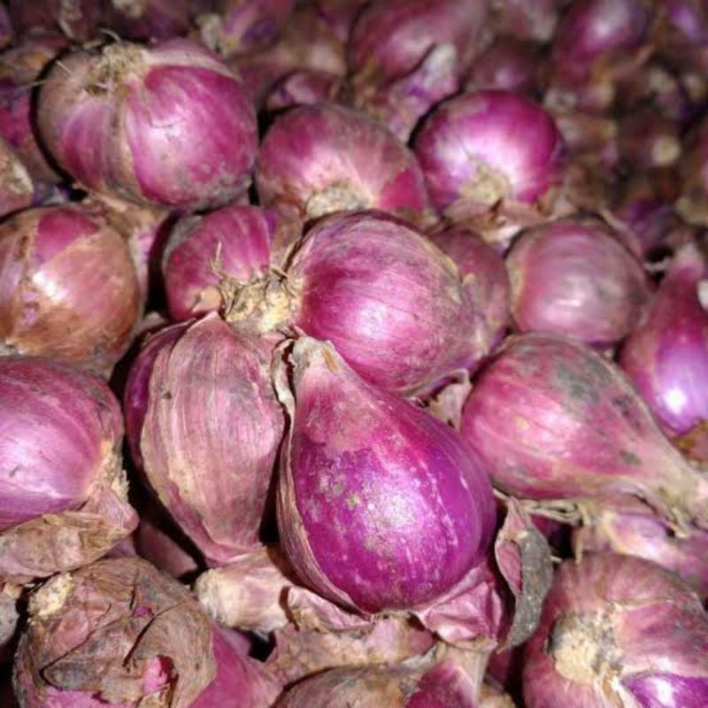 

Bawang merah (Brambang) besar