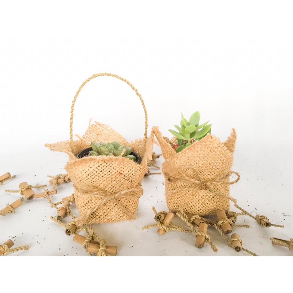 Souvenir kaktus &amp; Sukulen Hias Mini (Burlap jinjing mini D-5 cm)